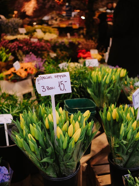 A display of fresh yellow tulips in transparent plastic sleeves, arranged in black pots on a wooden stand at a flower market. The tulips have vibrant yellow petals with green stems and leaves, appeari