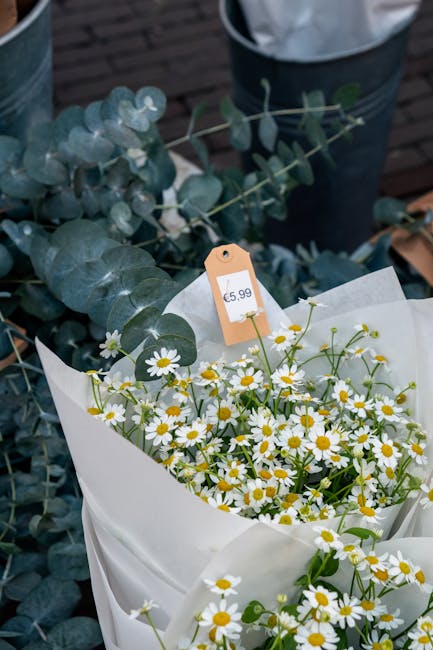 A bouquet of fresh daisy flowers with white petals and yellow centers arranged in white wrapping paper, accented with green stems and leaves. The bouquet is placed on a surface alongside eucalyptus br