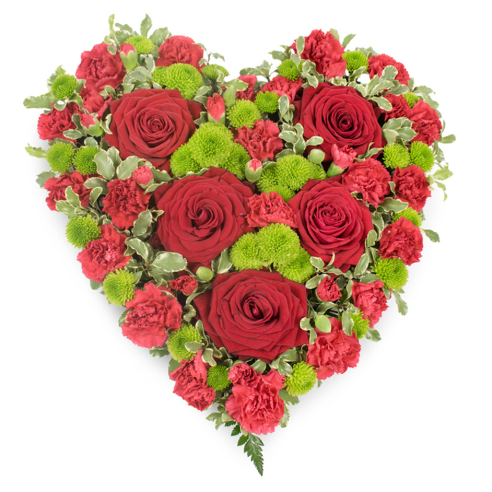 A sumptuous heart-shaped floral tribute dominates this image, floating against a clean white background that emphasises its rich colours and carefully crafted details, much like an arrangement prepared by Chinatown Flowers for a family farewell. The heart is completely covered in blooms, primarily in shades of deep red contrasted with vivid green. Several large red roses serve as the main focal points, evenly spaced across the heart. Each rose is fully open, with velvety petals arranged in tight spirals at the centre and gently curling outward, suggesting both strength and tenderness. Encircling and weaving between these roses are clusters of red spray carnations, their smaller, frilled petals packed closely together to form a plush, textured surface that feels soft and inviting to the eye. Bright lime-green button chrysanthemums are interspersed throughout the design, their neat, dome-shaped heads providing striking points of contrast that enliven the arrangement and keep the eye moving. Along the edges, short stems of variegated pittosporum foliage frame the heart shape, the green leaves edged with creamy white creating a delicate boundary that sharpens the silhouette without overwhelming the flowers. At the tapered bottom of the heart, a few fine fern fronds extend slightly below the main body of blooms, adding movement and a natural, slightly whimsical touch, reminiscent of foliage from small city gardens hidden around Chinatown and Soho. The overall design is symmetrical and densely filled, exuding a sense of care, dignity, and devotion. This heart would be a poignant choice for funerals or memorial services around Chinatown, expressing deep love, gratitude, and remembrance for someone whose presence remains firmly held in the hearts of family and friends.