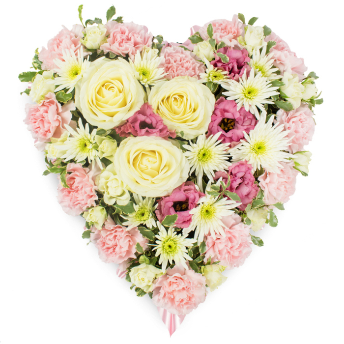 A densely packed, heart-shaped floral display is presented against a clean white background, its colours and shapes forming a clear, poignant symbol of love and remembrance. The entire heart is filled with blooms so closely nestled together that they create a smooth, continuous surface, almost like a living tapestry. Soft pastel pink carnations dominate the structure, their ruffled petals layered upon each other to build up the rounded curves and edges of the heart, giving it a soft, cushion-like feel. Within this sea of pink, several large cream-to-pale-yellow roses stand out as focal points, their perfectly formed, spiralling petals opening gracefully from tight centres, drawing the eye inward and evoking feelings of gratitude, devotion and lasting affection. Bright white spider chrysanthemums appear throughout, their many narrow, elongated petals shooting out from greenish centres like delicate rays, adding definition, freshness and intricate texture. Deeper magenta-pink lisianthus blooms are carefully threaded through the design, their cup-shaped flowers and slightly tousled edges bringing richer notes of colour, representing those moments of intense memory that remain vivid over time. Between the blossoms, small hints of green foliage provide contrast and a sense of natural balance, suggesting the piece has been lovingly put together by a local florist near Chinatown's bustling Newport Place or Wardour Street. At the lowest point of the heart, a glimpse of a pale pink ribbon peeks out, subtly indicating this is intended as a funeral or memorial tribute. The arrangement feels serene and dignified, a fitting floral heart for families around Chinatown, Soho or Covent Garden wanting to convey sympathy, remembrance and gentle support.