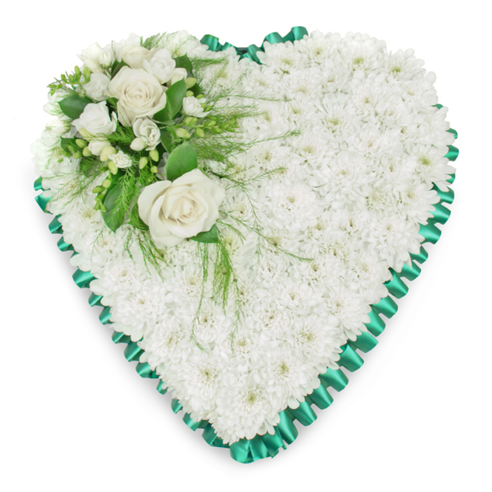 A beautifully balanced heart-shaped funeral tribute fills the frame, set against a brilliant white background that emphasises its clean lines and tranquil palette. The heart is constructed from a densely packed mass of white chrysanthemums, their small, uniform blooms carefully placed to achieve a seamless, cushioned surface. The petals are soft and slightly curved, overlapping one another to create a textured yet harmonious field of white. This purity of colour symbolises peace, reverence, and a gentle goodbye, making the arrangement especially appropriate for moments of remembrance. Encircling the heart is a striking emerald green satin ribbon, pleated with precision to form a ruffled, scalloped border. The ribbon's rich green hue contrasts with the cool whiteness of the flowers, and its faint lustre gives a refined, almost ceremonial finish to the design. In the upper left section of the heart, where the shape naturally dips, a graceful cluster of focal flowers has been placed. Two large white roses, fully open and perfectly formed, sit at the centre of this spray, their layered petals unfolding in soft spirals. Around them, smaller white blossoms-similar to freesias-provide extra delicacy, while several buds hint at continuity and memory. Surrounding foliage in deep shades of green frames the blooms: broad, glossy leaves offer structure, and fine, feathery fronds introduce lightness and movement as they trail gently over the chrysanthemum base. The effect is both solemn and soothing, a visual whisper of love and remembrance. Florists in and around Chinatown might place such a heart on a stand near the coffin, in a temple or chapel off Shaftesbury Avenue, or at a crematorium chapel further afield, where it would quietly convey condolences on behalf of family and friends.