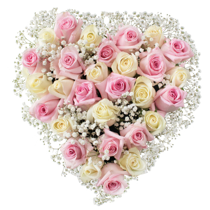 A masterfully arranged heart-shaped bouquet graces the frame, its symbolic form reflecting the warmth and hospitality of London's Chinatown community. Around thirty-five roses in shades of gentle pink, creamy white, and a touch of pale yellow nestle together, their velvety petals unfurling like cherished memories. Each rose is interspersed with airy clusters of baby's breath, its dainty, snowy blossoms softening the bouquet's lines and adding a balance reminiscent of yin and yang. Against a pristine white background, the even lighting brings every element into vivid relief-from the intricate whorls of each rose to the cloudlike texture of the baby's breath. The floral arrangement radiates a gentle sophistication and peace, suitable for commemorating important family occasions or offering respectful sympathy in times of remembrance. Assembled with care by artists at Chinatown Flowers, this piece embodies the spirit of neighbourly respect and affection familiar on the streets around Gerrard and Wardour. Evoking love, gratitude, and reflection, the bouquet is a gentle, comforting touch for celebrations and farewells alike, uniting traditional values with contemporary elegance through the timeless language of flowers.