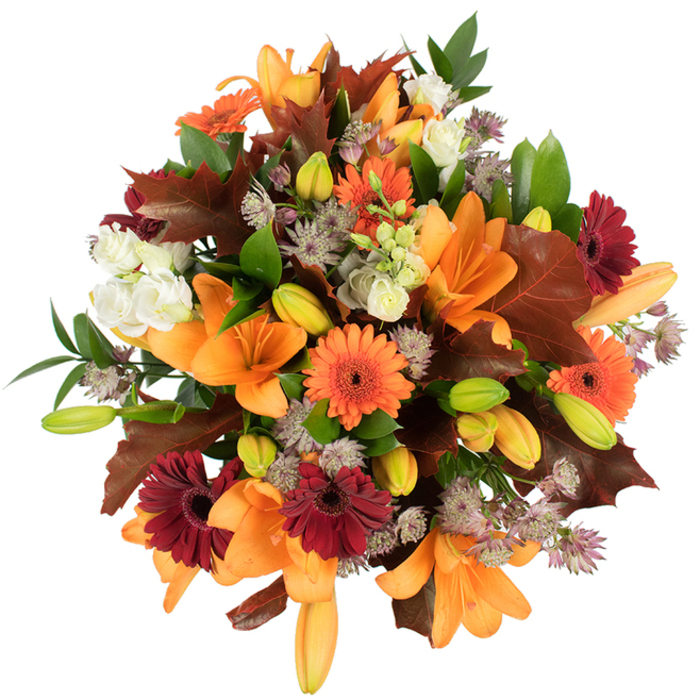 A lush, elevated close-in view of an autumn floral composition, presented against a flawless white background to emphasise colour, texture, and seasonal storytelling. Prominent in the centre are several fully opened orange lilies whose broad, trumpet-like petals fold and sweep with graceful curves; tightly closed buds in shades of pale orange and fresh green cluster nearby, promising additional blooms that give the arrangement breath and depth. Bright orange Gerbera daisies and somber, burgundy-red Gerberas are scattered through the design, their round faces and dark centres creating a cheerful rhythm. Soft, ivory lisianthus with layered, ruffled petals appear like tender sighs of light among the stronger colours, while delicate, star-shaped Astrantia in muted purple and lavender provide an intricate, almost lace-like filler that lifts the composition. Large, deeply lobed leaves in reddish-brown-echoing fallen oak or maple found on nearby pavements-are integrated as signature autumn accents, their shapes and veins adding a rustic, seasonal counterpoint. Fresh green foliage and slender stems weave through the bouquet, supplying structural contrast and a verdant backdrop. The overall density is generous and full, crafted to feel abundant and harvested; the bright, even lighting makes each texture-from the silky lilies to the papery leaves-read with clarity. This arrangement speaks of harvest tables and theatre-going dinners in and around Chinatown and Leicester Square, a floral statement that radiates warmth and hospitality, ideal for Thanksgiving centrepieces, seasonal home décor, or as a heartfelt gift that carries the tactile comfort of autumn indoors.