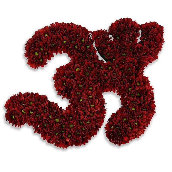 A bold, meticulously assembled number '33' formed entirely from a mass of small, button-style chrysanthemums dominates the composition, the blooms packed so closely they create a continuous, plush surface of deep burgundy and crimson. Each tiny flower head resembles a soft, velvet button; in many blossoms a bright, fresh green eye peeks through, punctuating the dark petals and giving the numerals a lively, organic texture. The craftsmanship is evident in the clean contours of each digit, where hundreds of individual flowers follow the curves and counters of the threes without gaps or awkward overlaps, producing a substantial, almost sculptural presence. The piece rests on a spotless white field that makes the reds sing, while a gentle, diffused gray shadow beneath hints that the formation is slightly elevated, floating with a subtle three-dimensionality. This is the sort of floral number we often create at Chinatown Flowers for 33rd birthdays, anniversary commemorations, or memorial tributes delivered to local halls and homes near Gerrard Street and the bustling market lanes off Shaftesbury Avenue. There is a quiet, celebratory dignity to the work - the deep red reads both festive and respectful - and you can almost sense the faint, fresh aroma of chrysanthemums when standing near it: green, herbal, and mildly sweet. The overall effect is elegant and unambiguous, a numeric statement made warm and human by the tactility and craft of hand-set flowers, suited to milestone occasions across Chinatown and neighbouring Soho.