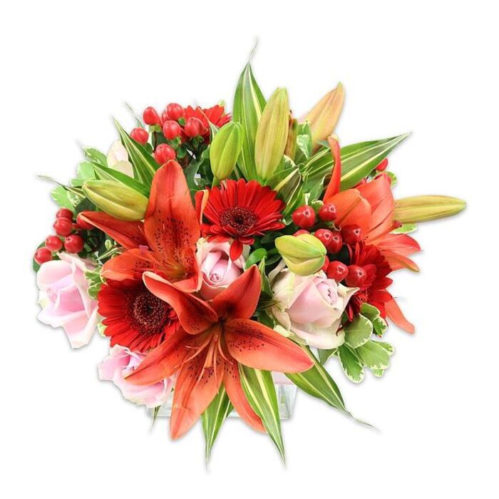 Presented against a crisp white field, this opulent bouquet reads as a study in warm tones and varied textures, the work of a florist who values both drama and softness. Large Asiatic lilies in a saturated orange-red take centre stage: several are fully open, their recurved petals emblazoned with subtle dark speckling and prominent stamens that add a touch of botanical detail, while a few buds remain closed or partially unfurled, suggesting unfolding life. Nestled among them are delicate blush-pink roses whose velvety, layered petals create tender pockets of softness that temper the lilies' intensity. Vivid red Gerbera daisies, with many narrow petals radiating from a darker central disk, provide cheerful geometry and echo the bouquet's red-orange energy. Scattered clusters of glossy red hypericum berries contribute small, round highlights and a contrasting texture to the smoothness of the blooms. A generous selection of foliage-broad, deep-green leaves, slender pointed lily leaves, and intermittent variegated greens with pale streaking-frames and fills the arrangement, giving it a lush, rounded silhouette and structural support. The lighting is even and bright, accentuating surface textures: the satiny gleam of rose petals, the slightly papery feel of lilies, the waxed sheen of berries and the crispness of fresh greenery. The composition evokes warmth, celebration and a gentle sweetness with a faint spicy note in the imagined scent. It is the kind of bouquet suited to anniversaries, congratulations or as a thoughtful gift for someone enjoying a night out near Leicester Square or dining on Gerrard Street, carrying the confident touch of a neighbourhood florist attentive to colour, balance and lasting freshness.