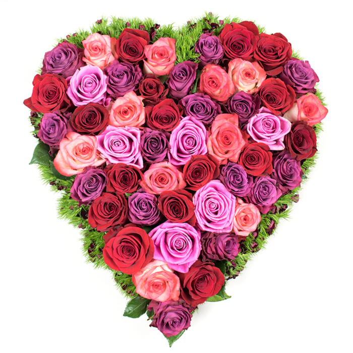 Viewed from directly above, this heart-shaped arrangement is a lavish field of roses, densely arranged so the heart reads as a continuous carpet of bloom. The colour story moves from intense reds - deep crimson and rich burgundy alongside classic scarlet - to a varied family of pinks that includes soft blush, warm coral and lively fuchsia, with elegant purples woven through in shades from pale lavender to sumptuous plum. Each rose is at its prime, petals unfurling in soft layers with a velvety surface that seems to absorb the cool, even light in the photograph; tiny highlights reveal the delicate curvature of each petal and the tightness of the central spirals. A slim band of dark green, grass-like foliage or moss hugs the heart's edge, occasionally showing between blooms to add contrast and to give the overall composition weight and definition. The arrangement's texture is rich and tactile - plush, dense and composed with the precision of a memorial or ceremonial piece - but it also carries a romantic warmth suitable for anniversaries and intimate celebrations of love. The scent is suggested in the image's stillness, a soft, familiar rose fragrance that complements the visual serenity. Crafted with thoughtfulness and a steady hand, this design would translate easily for deliveries across Chinatown and the surrounding West End neighbourhoods, offering a respectful presence at funerals or a striking centrepiece for a private vow renewal.