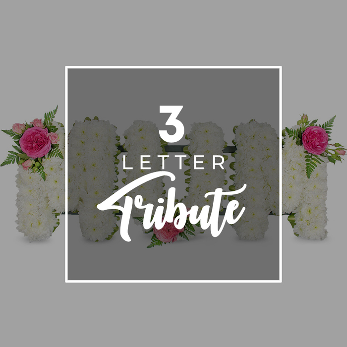 A serene, professionally lit image portrays a three-letter floral tribute spelling MOM, presented against a smooth light-to-mid grey background that gently fades away, keeping the focus firmly on the flowers. Each letter is constructed from a dense bed of white chrysanthemums, their small, rounded heads tightly massed together to form defined yet softly contoured shapes. The texture is plush and inviting, like a white quilt stitched with countless tiny rosettes. Touches of pink and green are woven in with care. On the left M, at its upper left shoulder, a deep fuchsia rose, fully open, sits at the centre of a small cluster of pale pink rosebuds and delicate fern foliage. This floral accent spills slightly over the edge of the letter, adding a sense of natural movement, as if freshly placed by hand. The O in the centre stays mostly pure white, save for one pink rose at its lower curve, which draws the eye downward and offers a single, poignant note of colour. The right-hand M balances the composition, bearing a matching spray of fuchsia rose, pink buds, and light green fern on its upper right, so the word feels cradled between two identical gestures of love. Overlaid on the centre of the image is a neat white rectangular frame with white text inside. The number 3 appears at the top, followed by the word LETTER in a modern sans-serif font, and the word Tribute beneath in a flowing script, making the nature of the arrangement immediately clear. Around the edges of the frame, parts of additional chrysanthemum letters with similar pink rose embellishments can be seen, suggesting that the same style can be adapted to create names or words for funerals and memorials in and around Chinatown.