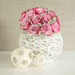 This floral piece showcases a compact, rounded cluster of pink roses, arranged with the precision of a jeweller setting stones into a crown. Each rose is lush and open, petals overlapping in soft spirals that begin in pale blush and gradually intensify to deeper shades of pink and fuchsia, adding a sense of depth and richness. At the base of the rose dome, a ring of white baby's breath creates a fine, frothy border, its tiny flowers catching the light like a scatter of snowflakes, softening the transition from blooms to vessel. The entire arrangement is nestled into a white, hand-woven orb container, whose curved strands curl and intersect in an airy, globe-like shape. This spherical form feels modern and artistic, almost like a lantern or sculptural piece you might glimpse in a window along Shaftesbury Avenue or tucked inside a contemporary restaurant near Leicester Square. Light flows through the gaps in the weave, tracing gentle shadows that echo the circular structure on the tabletop, while the smooth, clean white of the orb contrasts beautifully with the warm pink tones above. The atmosphere of the image is calm and luminous, suggesting daylight streaming through a city window, highlighting every petal and tiny gypsophila bloom. Emotionally, the arrangement speaks of affection, celebration, and thoughtful care-an ideal centrepiece for wedding banquets in Chinatown, engagement parties, or quiet anniversary dinners in nearby Soho apartments. One can almost imagine the subtle scent of fresh roses floating above the din of the streets below, offering a pocket of serenity amid the vibrant bustle outside. The composition feels balanced and intentional, a small but powerful expression of love rendered in contemporary floral form.