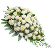 A dignified white funeral spray stretches diagonally across a pure white background, forming a soft teardrop that begins in lush abundance and gradually narrows to a graceful point. At the broader end, a rich gathering of white and cream roses dominates the design, some still formed as neat, compact buds while others are fully open, revealing layers of velvety petals that curl gently outward. Nestled among these roses, clusters of white carnations create a delicate, ruffled effect, like fine lace woven between the larger blooms. Throughout the spray, a supportive base of foliage provides structure and depth. Silvery-green eucalyptus leaves thread through the flowers, lending a cool, calming tone, while darker, more saturated greens sit beneath and around the blooms, grounding the arrangement. Slender, slightly arching stems trail along and beyond the tapered end, emphasising the piece's elongated line and giving it a sense of natural, flowing movement. The even lighting highlights each detail without harsh shadow, allowing the texture of petals and the subtle colour shift from pure white to soft cream to be clearly appreciated. This floral tribute carries an air of serenity, purity, and reverence, ideal for resting alongside a casket or placed at the front of a ceremony. In London's Chinatown, such a spray might be chosen for a memorial service in a nearby church, temple, or community hall close to Shaftesbury Avenue or Wardour Street, offering a gentle, respectful expression of condolences and love amid the area's vibrant streets and glowing lanterns.