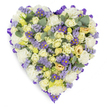 A densely packed heart-shaped sympathy tribute photographed against a clean white background, the image lit with soft, studio-like daylight that picks out the delicate textures and muted colours. The heart is outlined by a folded, rich purple satin ribbon that runs continuously around the perimeter, giving the design a refined frame and a formal, memorial quality. Inside the shape, dozens of tightly furled cream and pale yellow roses form a sumptuous, velvety field-some buds still closed, others gently opening to reveal layers of soft petals with faint green undertones. Interwoven between the roses are clouds of ruffled white carnations that add classic volume and a reassuring, familiar softness. Sprays of pale lavender statice disperse through the composition like memory-laden mist, their tiny clustered blooms offering a whisper of cool purple, while small, daisy-like purple asters with bright yellow centres provide brighter punctuation and a living contrast. Rounded, blue-green eucalyptus leaves are tucked throughout, their silvery sheen and oval shapes breaking the floral density and suggesting a subtle, clean fragrance. The overall effect is one of serene dignity: pastel warmth from the creams and yellows balanced by the calming lavenders and the stately purple border. As a florist describing this for someone unable to see it, I'd note the careful, compact craftsmanship-each stem placed to maintain the heart's clear silhouette and to convey comfort, remembrance, and enduring affection. This arrangement reads as an elegant funeral or graveside tribute, appropriate for memorial services in Chinatown and nearby chapels around Shaftesbury Avenue and Leicester Square.