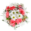 This bouquet from Chinatown Flowers is a joyful tribute to the district's rich cultural tapestry, arranged with the same care and skill that define the area's celebrated traditions. At its heart, cheerful white daisies with bright green centres bring a sense of light and openness, while layers of plush coral-pink carnations weave through the composition, evoking the colour and vivacity of local festivities from Chinese New Year to Mid-Autumn. Sprigs of delicate gypsophila sparkle like tiny lanterns amidst the blooms, their airy presence softening the design. Gentle hints of alstroemeria buds and eucalyptus leaves-subtle in fragrance and hue-provide harmony and freshness, just like a morning stroll along Chinatown's quieter passages. Expertly crafted for special moments, this bouquet radiates exuberance and gentle tranquillity, making it ideal for marking personal milestones, celebrating within the community, or sending a message of encouragement and joy to friends or family across Chinatown and the West End.