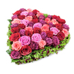 A lush, heart-shaped tribute of tightly packed roses rests against a clean white background, photographed from a slightly elevated, angled viewpoint so the full depth and symmetrical outline are clear. The central bloom field is a rich, layered mosaic of garden roses in deep crimson and burgundy, bright fuchsia and magenta, soft pastel blush, and touches of purplish-magenta that catch the light on their velvety petals. Each rose sits at the height of its freshness, some with petals gently unfurling and others still snugly furled, creating a tactile surface that reads as both plush and meticulously ordered. Encircling the heart is a narrow but distinct fringe of fine, deep green foliage-delicate serrated leaves that may be carnation foliage or similar textured greens-soothing the eye while crisply defining the heart's edge. Small, dark red or burgundy berry accents and tiny florets are woven into the greenery, adding shadowed points of interest and subtle depth against the vivid flower field. Bright, even studio lighting reveals petal veins, soft gradients of colour, and the whisper of dew-like highlights without casting harsh shadows. The composition suggests a florist's careful hand: abundant yet restrained, meant to convey love, remembrance, or gentle celebration. A viewer might picture this arrangement placed beside a handwritten note for an anniversary, displayed at a quiet celebration of life, or offered as a romantic gesture on Valentine's Day. The clean white backdrop ensures the colours pop with emotional clarity, and the piece carries a comforting, expert presence suited to funerals, anniversaries, or intimate declarations of affection across Chinatown and nearby Soho.