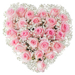 A perfectly formed heart of fresh, soft pink roses fills the frame, each bloom closely nestled against its neighbour to create an unbroken, velvety surface that reads as one continuous, tender shape. The roses range from pale blush to a slightly deeper rose tint, a gentle gradation that gives the heart a living depth; some buds are still neatly furled while others have opened to reveal their spiralled, satiny petals, catching the light with a dewy sheen. Threaded through and around the roses are clouds of tiny white baby's breath (Gypsophila), their miniature, airy florets like fine lace that lifts and brightens the composition while crisply defining the heart against a pristine white background. The studio lighting is clear and even, emphasising the texture of each petal and the delicate contrast between the powder-pink roses and the baby's breath, and the close-up perspective invites a near tactile sense of softness and cool velvet under the fingertips. As a local florist might explain, the arrangement balances density with lightness - the substantial mass of roses conveys commitment and warmth, while the sprinkling of gypsophila adds an ethereal, hopeful note. This design reads as an intimate declaration of love and comfort, suited to weddings, anniversaries, or quiet remembrances. It also carries an urban intimacy familiar to Chinatown shoppers - a bouquet that would stand proudly in a window on Gerrard Street or be carried gently across Shaftesbury Avenue, offering a quiet, fragrant punctuation to special moments.