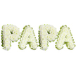 A tender, dignified memorial piece spells the intimate name PAPA in four bold, capital letters formed entirely from dense clusters of small white blooms-primarily spray chrysanthemums with a few creamy-white carnations tucked into the contours to add gentle ruffle and depth. The letters sit against a clean, pure white backdrop that makes the soft domed surfaces of each character read clearly; the petals catch a soft, diffused light so the whites show subtle shadows and texture rather than flatness. Along the outer edge of every letter a narrow, pale lime-green ribbon or finely pleated foliage frames the shapes, the cool green providing a quiet, fresh contrast that gives each letter definition and a finished, handcrafted look. Up close you can imagine the slightly powdery scent of chrysanthemums and the faint, green tang of clipped stems; the surface feels plush and slightly cushion-like where the little flowers are closely wired together. This arrangement reads as a classic sympathy tribute, the white-and-green palette speaking of peace, purity, and calm remembrance for a beloved father or grandfather. The composition is horizontal and measured, with equal spacing and a steady rhythm that communicates care and reverence rather than exuberance. A local florist familiar with Chinatown and nearby Soho would describe this as the sort of bespoke memorial piece often requested for funeral services or wakes around Shaftesbury Avenue and Leicester Square-an understated, personal way to voice enduring love and farewell when words alone are not enough.