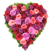 From an overhead view, this heart-shaped tribute reads like a poem in petals: dozens of fully open roses nestle together to form a perfectly symmetrical heart, their velvety faces pressed edge-to-edge so there are no gaps between blooms. The palette moves across deep crimson, rich burgundy and classic scarlet reds into a delicate spectrum of pinks - from pastel blush and soft coral to vibrant fuchsia and magenta - and then softens again with lavender, mauve and deeper plum purples scattered throughout. Each rose shows layered, silky petals with gently curled edges, giving the surface a tactile, quilted rhythm that invites the fingertips to linger. A narrow halo of fine, dark green foliage - mossy and springy, almost like maidenhair or a soft fern - frames the heart, peeking between blooms along the edges and lending a fresh, earthy contrast that makes the colours sing. The composition is photographed on a clean white background in cool, even light that brings out the true saturation of each hue and the subtle sheen on each petal. There is a tender scent implied in the image - an airy, green-rose perfume that suggests both celebration and consolation. As an arrangement, it reads as both romantic and reverent: perfectly suited to a Valentine's gift, an anniversary gesture, or a dignified memorial piece for remembrance. The craftsmanship is meticulous, every bloom chosen for size and tone so the heart reads as a single, generous gesture of deep affection and quiet devotion, carrying an emotional warmth that feels both intimate and solemn.